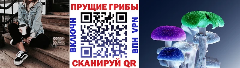 Псилоцибиновые грибы ЛСД  Ставрополь 