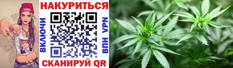 Марихуана White Widow  ссылка на мегу сайт  Ставрополь 